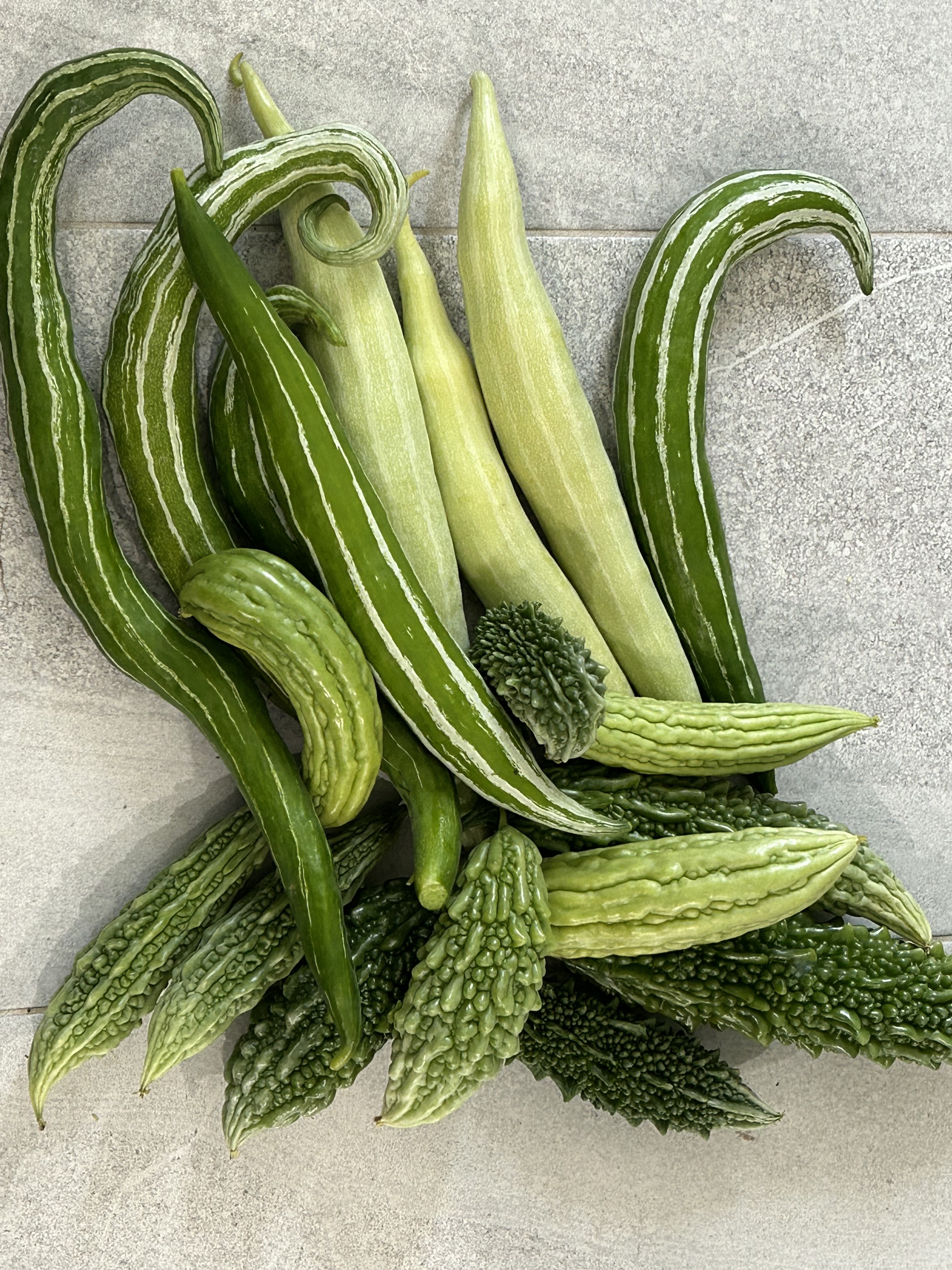 Snake Gourd Plant - Green Long